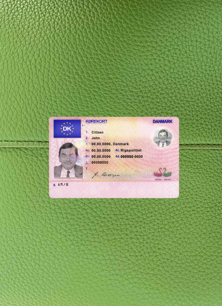 Download Denmark DL  photolook FRONT Photoshop template